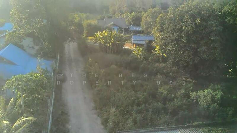 ที่ดินสันทราย เชียงใหม่, Chiang Mai, Pa Phai, San Sai, Chiang Mai, , 1,600 sqm, Land For Sale, by The Best Property บอย, 500143791 - DDproperty.com