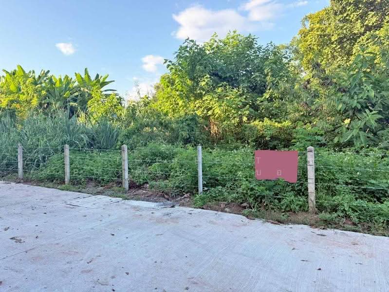 ที่ดินสันทราย เชียงใหม่, Chiang Mai, Pa Phai, San Sai, Chiang Mai, , 1,600 sqm, Land For Sale, by The Best Property บอย, 500143791 - DDproperty.com