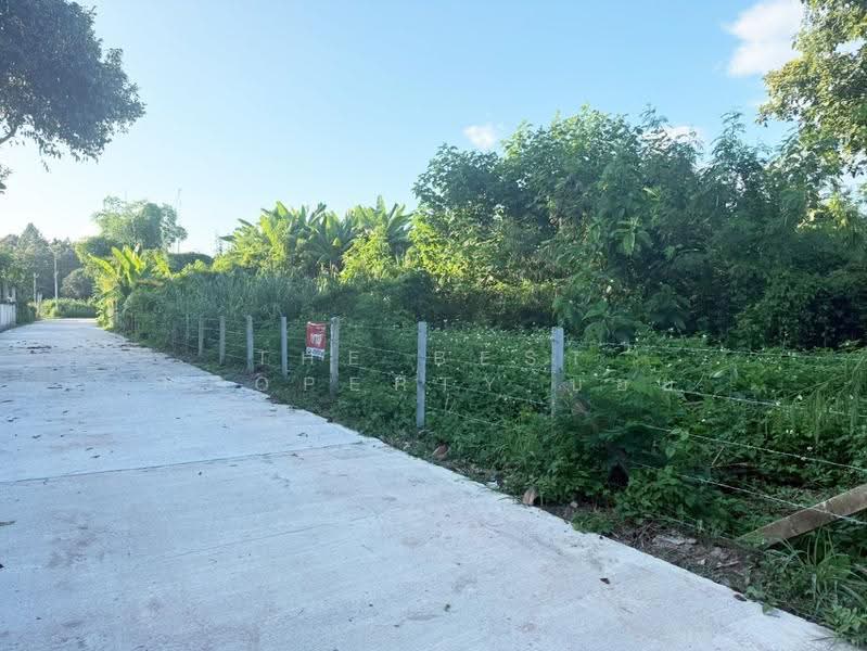 ที่ดินสันทราย เชียงใหม่, Chiang Mai, Pa Phai, San Sai, Chiang Mai, , 1,600 sqm, Land For Sale, by The Best Property บอย, 500143791 - DDproperty.com