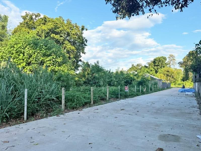 ที่ดินสันทราย เชียงใหม่, Chiang Mai, Pa Phai, San Sai, Chiang Mai, , 1,600 sqm, Land For Sale, by The Best Property บอย, 500143791 - DDproperty.com