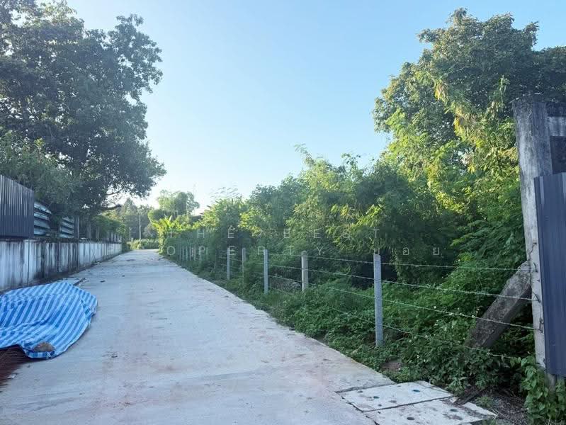 ที่ดินสันทราย เชียงใหม่, Chiang Mai, Pa Phai, San Sai, Chiang Mai, , 1,600 sqm, Land For Sale, by The Best Property บอย, 500143791 - DDproperty.com
