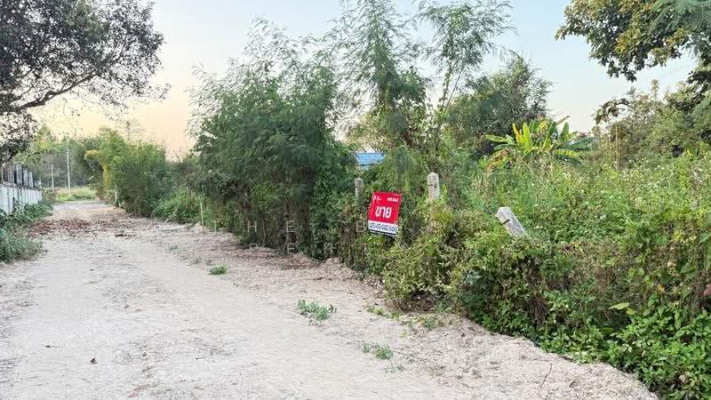 ที่ดินสันทราย เชียงใหม่, Chiang Mai, Pa Phai, San Sai, Chiang Mai, , 1,600 sqm, Land For Sale, by The Best Property บอย, 500143791 - DDproperty.com