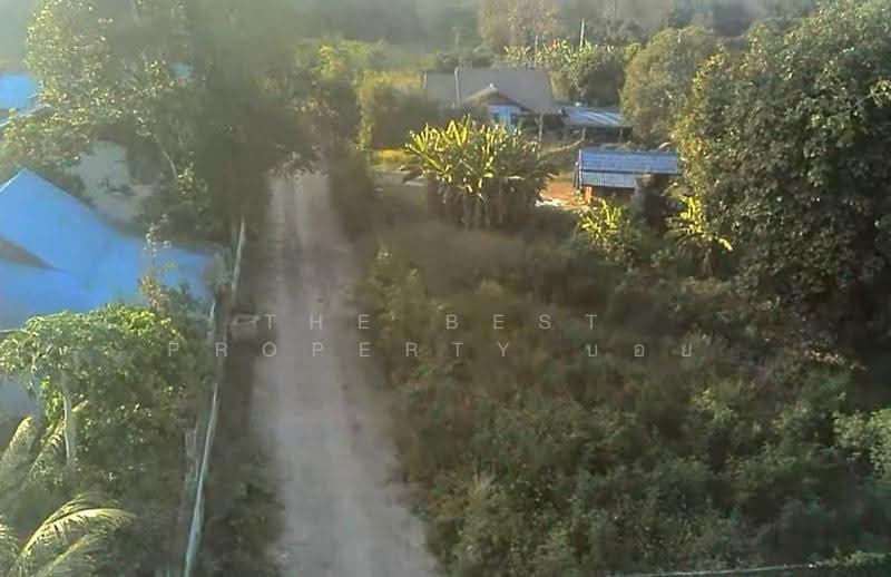 ที่ดินสันทราย เชียงใหม่, Chiang Mai, Pa Phai, San Sai, Chiang Mai, , 1,600 sqm, Land For Sale, by The Best Property บอย, 500143791 - DDproperty.com