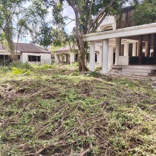 โครงสร้างบ้านเก่าพร้อมที่ดิน ซ.นนทบุรี8, Nonthaburi, Bang Kra So, Muang Nonthaburi, Nonthaburi, , 6,696 sqm, Land For Sale, by AJHOMECENTER - คุณสาว, 500143850 - DDproperty.com