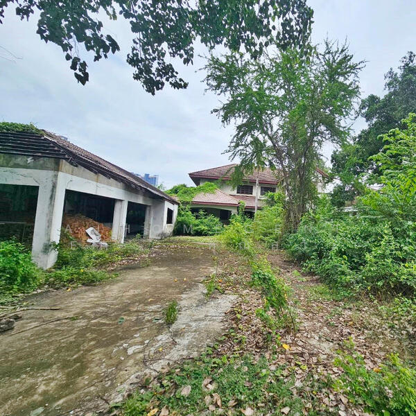 โครงสร้างบ้านเก่าพร้อมที่ดิน ซ.นนทบุรี8, นนทบุรี, บางกระสอ, เมืองนนทบุรี, นนทบุรี, 6,696 ตร.ม., ที่ดิน ขาย, โดย AJHOMECENTER - คุณสาว, 500143850 - DDproperty.com