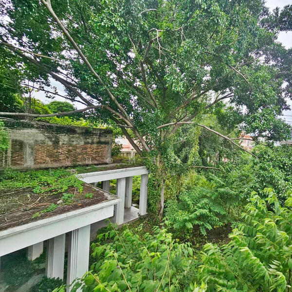 โครงสร้างบ้านเก่าพร้อมที่ดิน ซ.นนทบุรี8, Nonthaburi, Bang Kra So, Muang Nonthaburi, Nonthaburi, , 6,696 sqm, Land For Sale, by AJHOMECENTER - คุณสาว, 500143850 - DDproperty.com