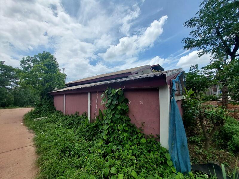 ขาย - บ้านโคกค่อน, หนองคาย