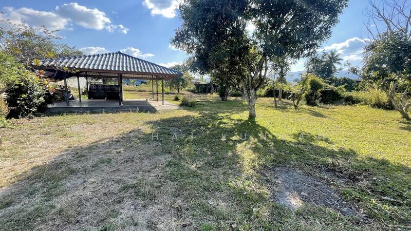 ขาย - ที่ดิน 1 ไร่ หลังเทศบาลป่าแฝก แม่ใจ พะเยา, พะเยา