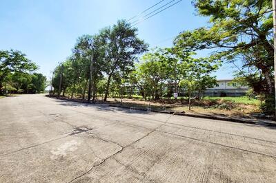 ขาย - ฟอเรสปาร์ค, กรุงเทพ