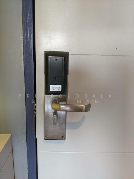 ให้เช่า - ReLife The Windy : รีไลฟ์ เดอะ วินดี้, ภูเก็ต