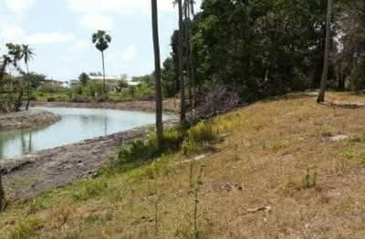 ขาย - ตำบล เขารูปช้าง, สงขลา