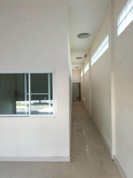 ชุมชนตลาดหนองบัววง, นครราชสีมา, ขุย, ลำทะเมนชัย, นครราชสีมา, 111 ตร.ม., ตึกแถว-อาคารพาณิชย์ ขาย, โดย คุณแจม, 500144060 - DDproperty.com