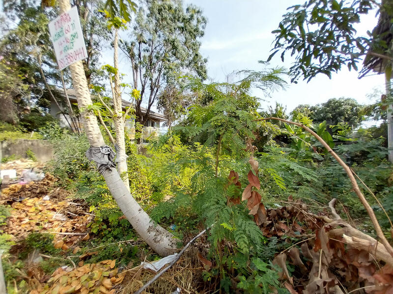 ที่ดิน ม.บัวงาม ซ.อ่อนนุช 39 : Bua Ngam Village, On Nut 39, กรุงเทพ, อ่อนนุช, สวนหลวง, สวนหลวง, กรุงเทพ, 240 ตร.ม., ที่ดิน ขาย, โดย จิณณ์กระวี เตชะไชยนันท์, 500144073 - DDproperty.com