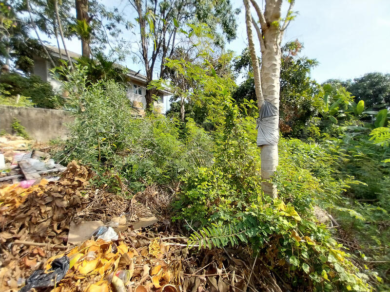 ที่ดิน ม.บัวงาม ซ.อ่อนนุช 39 : Bua Ngam Village, On Nut 39, กรุงเทพ, อ่อนนุช, สวนหลวง, สวนหลวง, กรุงเทพ, 240 ตร.ม., ที่ดิน ขาย, โดย จิณณ์กระวี เตชะไชยนันท์, 500144073 - DDproperty.com