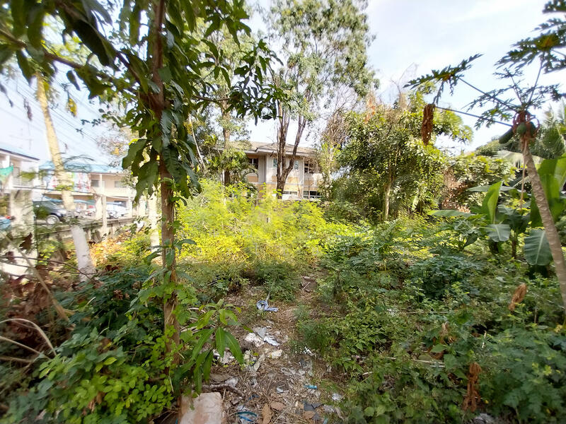 ที่ดิน ม.บัวงาม ซ.อ่อนนุช 39 : Bua Ngam Village, On Nut 39, กรุงเทพ, อ่อนนุช, สวนหลวง, สวนหลวง, กรุงเทพ, 240 ตร.ม., ที่ดิน ขาย, โดย จิณณ์กระวี เตชะไชยนันท์, 500144073 - DDproperty.com