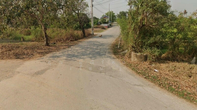 ที่ดินเปล่า 7 ไร่ 55 ตารางวา บางคูรัด บางบัวทอง, นนทบุรี, บางคูรัด, บางคูรัด, บางบัวทอง, นนทบุรี, 11,200 ตร.ม., ที่ดิน ขาย, โดย คุณ มณีรัตน์ ( เจี๊ยบ ), 500144077 - DDproperty.com