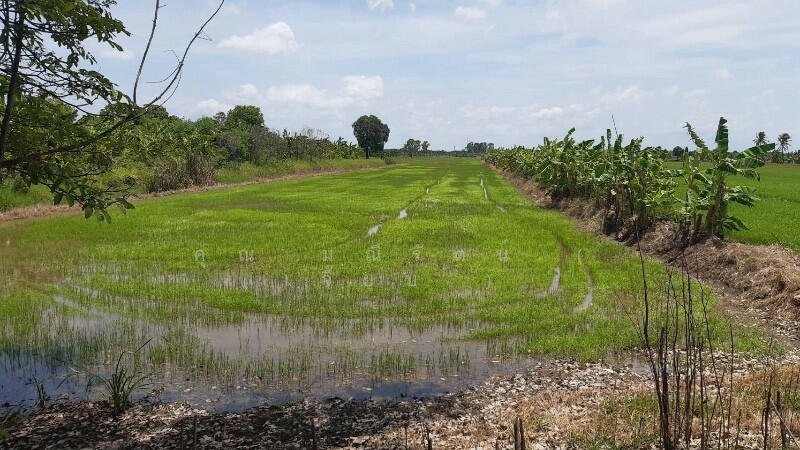 ที่ดินเปล่า 7 ไร่ 55 ตารางวา บางคูรัด บางบัวทอง, Nonthaburi, บางคูรัด, Bang Khu Rat, Bang Bua Thong, Nonthaburi, , 11,200 sqm, Land For Sale, by คุณ มณีรัตน์ ( เจี๊ยบ ), 500144077 - DDproperty.com