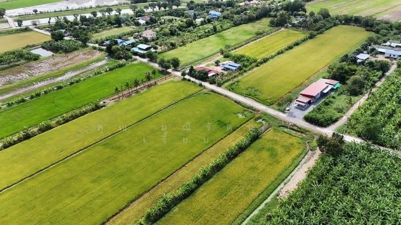 ที่ดินเปล่า 7 ไร่ 55 ตารางวา บางคูรัด บางบัวทอง, นนทบุรี, บางคูรัด, บางบัวทอง, นนทบุรี, 11,200 ตร.ม., ที่ดิน ขาย, โดย คุณ มณีรัตน์ ( เจี๊ยบ ), 500144077 - DDproperty.com