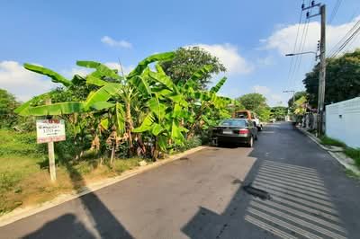 ขาย - ขายที่ดิน 120 ตรว. เพชรเกษม - มาเจริญ - เลียบคลองภาษีเจริญฝั่งเหนือ ซอยจัดสรร 2 หนองแขม, กรุงเทพ