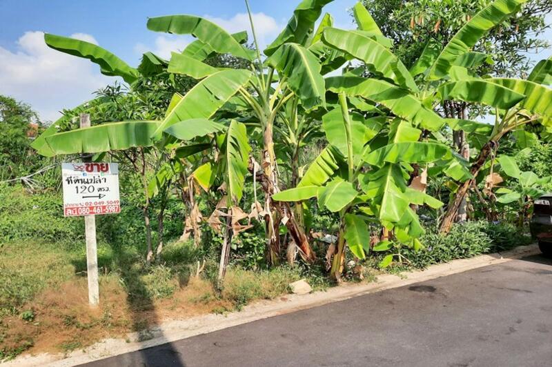 ขาย - ขายที่ดิน 120 ตรว. เพชรเกษม - มาเจริญ - เลียบคลองภาษีเจริญฝั่งเหนือ ซอยจัดสรร 2 หนองแขม, กรุงเทพ