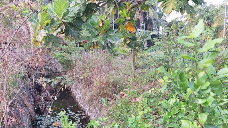 ที่ดินแหลมสิงห์ จันทบุรี, Chanthaburi, Bang Srakao, Laem Sing, Chanthaburi, , 648 sqm, Land For Sale, by The Best Property บอล, 500144115 - DDproperty.com