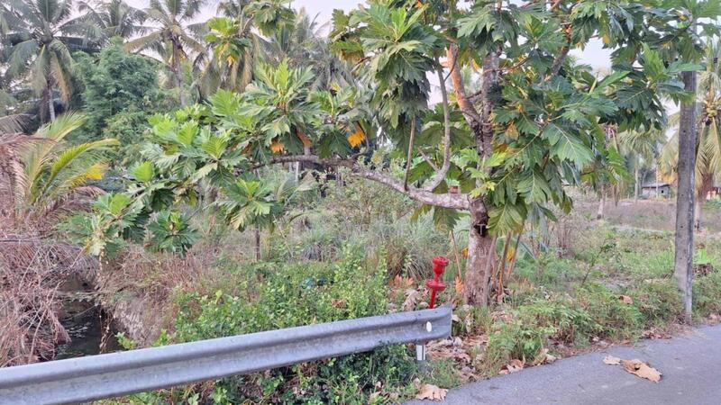 ที่ดินแหลมสิงห์ จันทบุรี, จันทบุรี, บางสระเก้า, แหลมสิงห์, จันทบุรี, 648 ตร.ม., ที่ดิน ขาย, โดย The Best Property บอล, 500144115 - DDproperty.com