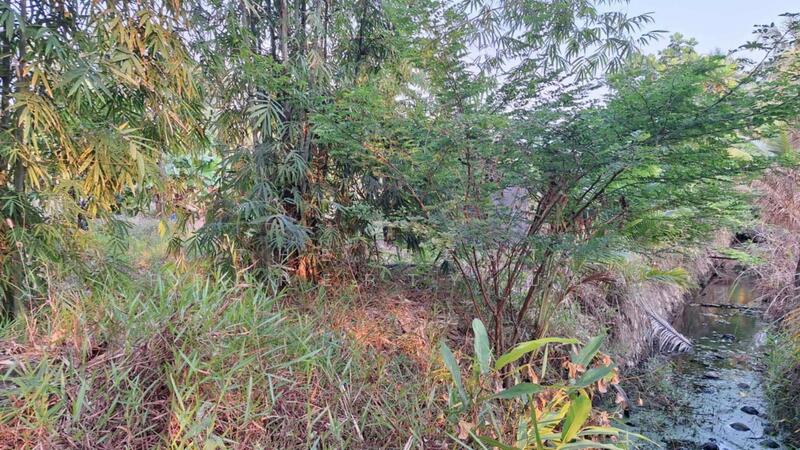 ที่ดินแหลมสิงห์ จันทบุรี, จันทบุรี, บางสระเก้า, แหลมสิงห์, จันทบุรี, 648 ตร.ม., ที่ดิน ขาย, โดย The Best Property บอล, 500144115 - DDproperty.com