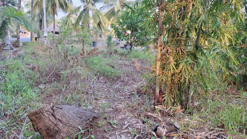 ที่ดินแหลมสิงห์ จันทบุรี, Chanthaburi, Bang Srakao, Laem Sing, Chanthaburi, , 648 sqm, Land For Sale, by The Best Property บอล, 500144115 - DDproperty.com