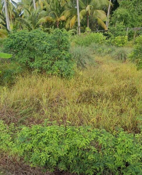 ที่ดินแหลมสิงห์ จันทบุรี, Chanthaburi, Bang Srakao, Laem Sing, Chanthaburi, , 648 sqm, Land For Sale, by The Best Property บอล, 500144115 - DDproperty.com