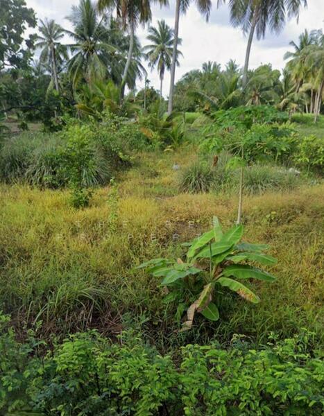 ที่ดินแหลมสิงห์ จันทบุรี, Chanthaburi, Bang Srakao, Laem Sing, Chanthaburi, , 648 sqm, Land For Sale, by The Best Property บอล, 500144115 - DDproperty.com