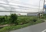 ให้เช่าที่ดิน 51-3-57 ไร่ ติดถนนสุขุมวิท ติดทางเข้า นิคมฯ ทองโกรว์ จ.ชลบุรี - DDproperty.com