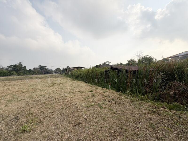 ที่ดินซอยสวนผัก 32, กรุงเทพ, สวนผัก, ตลิ่งชัน, ตลิ่งชัน, กรุงเทพ, 2,716 ตร.ม., ที่ดิน ขาย, โดย คุณน้อง เกรทเทสต์, 500144276 - DDproperty.com