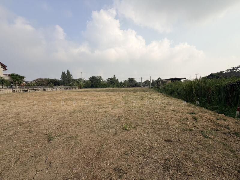 ที่ดินซอยสวนผัก 32, กรุงเทพ, สวนผัก, ตลิ่งชัน, ตลิ่งชัน, กรุงเทพ, 2,716 ตร.ม., ที่ดิน ขาย, โดย คุณน้อง เกรทเทสต์, 500144276 - DDproperty.com