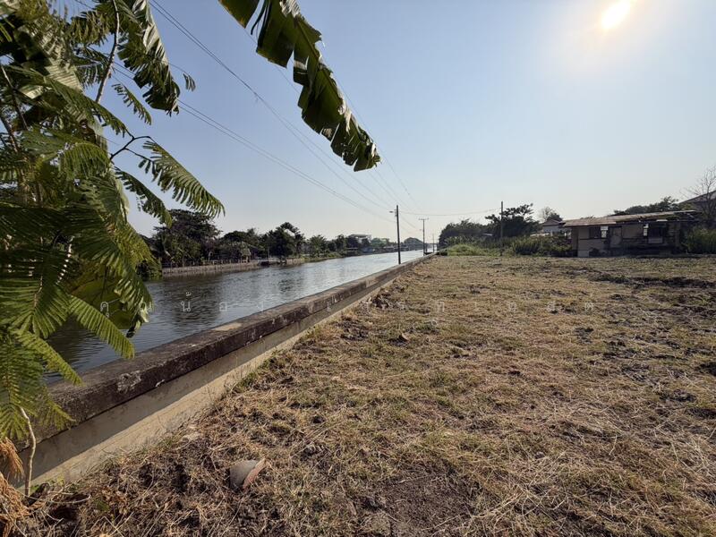 ที่ดินซอยสวนผัก 32, กรุงเทพ, สวนผัก, ตลิ่งชัน, ตลิ่งชัน, กรุงเทพ, 2,716 ตร.ม., ที่ดิน ขาย, โดย คุณน้อง เกรทเทสต์, 500144276 - DDproperty.com