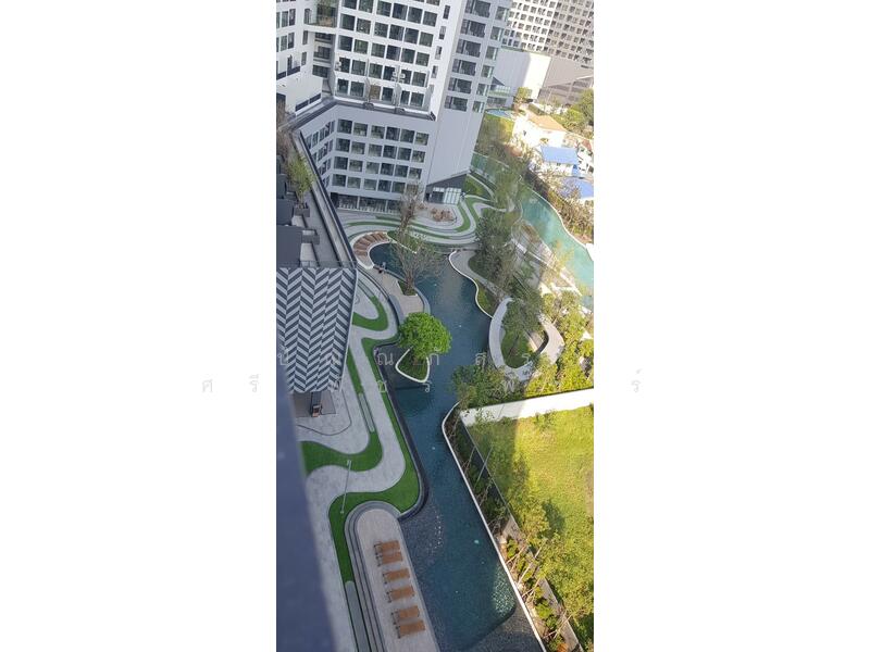 IDEO O2 บางนา, กรุงเทพ, 195 ถนนสรรพาวุธ, บางนาใต้, บางนา, กรุงเทพ, 27 ตร.ม., คอนโด ให้เช่า, โดย ปัณณภัสร์​ ศรี​พัชร​พัช​ร์, 500144337 - DDproperty.com