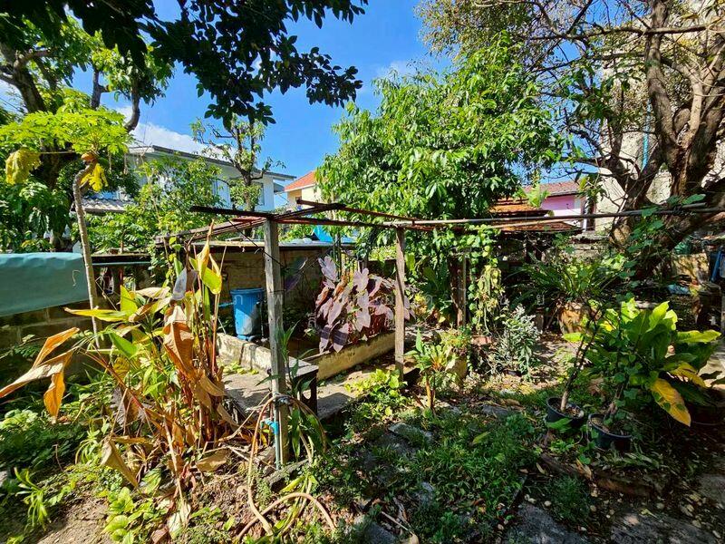 ให้เช่า บ้านเดี่ยว หลังมุม เนื้อที่ 100 ตร.ว. ใกล้ MRT สิรินธรและรพ.ศิริราช เขตบางพลัด กรุงเทพ, กรุงเทพ, บางยี่ขัน, บางพลัด, กรุงเทพ, 400 ตร.ม., บ้านเดี่ยว ให้เช่า, โดย สรภพ ยอดไชย (สีฝุ่น), 500144360 - DDproperty.com