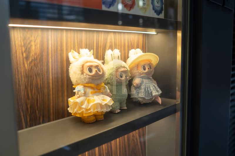 บ้านเดี่ยวอินทามระ 28, กรุงเทพ, ดินแดง, ดินแดง, กรุงเทพ, 500 ตร.ม., บ้านเดี่ยว ขาย, โดย มาลี สุธน, 500144392 - DDproperty.com