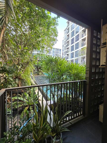 Chambers On-Nut Station, Bangkok, Soi Sukhumvit 81, Sukhumvit Road, Phra Kanong Nua, Watthana, Bangkok, 1 Bedroom, 37 sqm, Condo For Rent, by Thida Thewinram, 500144425 - DDproperty.com