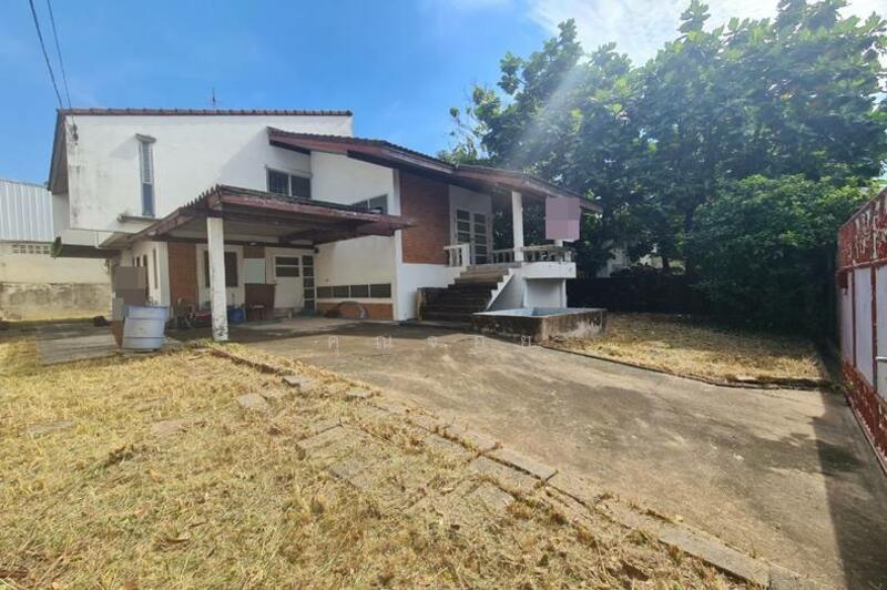 ขายบ้านเดี่ยว 105ตรว. ถ.รัชดาภิเษก ซ.อินทามระ 41 ใกล้ MRT สุทธิสาร, Bangkok, สุทธิสารวินิจฉัย, Din Daeng, Din Daeng, Bangkok, 3 Bedrooms, 300 sqm, Single Detached House For Sale, by คุณจอย, 500144564 - DDproperty.com