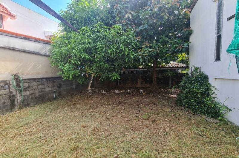 ขายบ้านเดี่ยว 105ตรว. ถ.รัชดาภิเษก ซ.อินทามระ 41 ใกล้ MRT สุทธิสาร, กรุงเทพ, สุทธิสารวินิจฉัย, ดินแดง, ดินแดง, กรุงเทพ, 300 ตร.ม., บ้านเดี่ยว ขาย, โดย คุณจอย, 500144564 - DDproperty.com