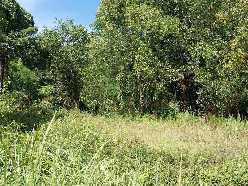 ที่ดินว่างเปล่าอุบลราชธานี, อุบลราชธานี, สีวิเชียร, น้ำยืน, อุบลราชธานี, 1,588 ตร.ม., ที่ดิน ขาย, โดย คุณแจม, 500144611 - DDproperty.com