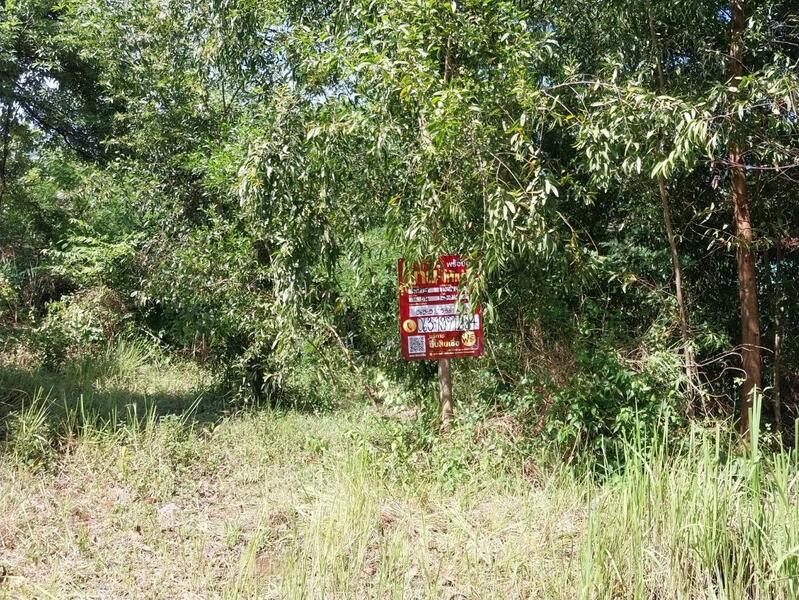 ที่ดินว่างเปล่าอุบลราชธานี, อุบลราชธานี, สีวิเชียร, น้ำยืน, อุบลราชธานี, 1,588 ตร.ม., ที่ดิน ขาย, โดย คุณแจม, 500144611 - DDproperty.com