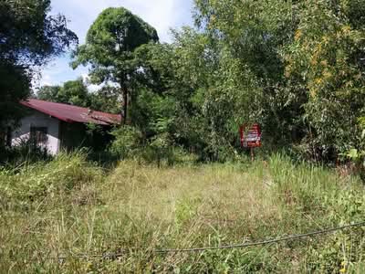 ขาย - ที่ดินว่างเปล่าอุบลราชธานี, อุบลราชธานี