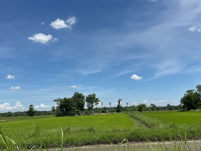 ขาย - ที่ดินว่างเปล่ากาฬสินธุ์, กาฬสินธุ์