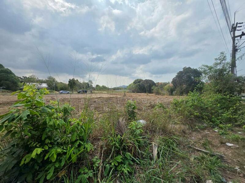 บางเสร่ฝั่งเขา ตำบลบางเสร่ อำเภอสัตหีบ จังหวัดชลบุรี, ชลบุรี, บางเสร่, สัตหีบ, ชลบุรี, 1,640 ตร.ม., ที่ดิน ขาย, โดย ณิชาภา (คุณดาว) เพียจันทร์, 500144911 - DDproperty.com