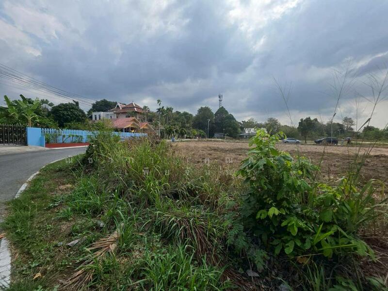 บางเสร่ฝั่งเขา ตำบลบางเสร่ อำเภอสัตหีบ จังหวัดชลบุรี, Chon Buri (Pattaya), Bang Sa-re, Sattahip, Chon Buri (Pattaya), , 1,640 sqm, Land For Sale, by Nichapa Phiachan, 500144911 - DDproperty.com