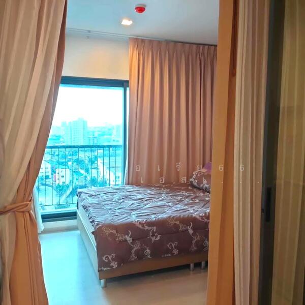 Life Sukhumvit 48, Bangkok, Soi Sukhumvit 48, Phra Kanong, Khlong Toei, Bangkok, 1 Bedroom, 40 sqm, Condo For Sale, by AREA66 Real Estate Co.,Ltd, 500144912 - DDproperty.com
