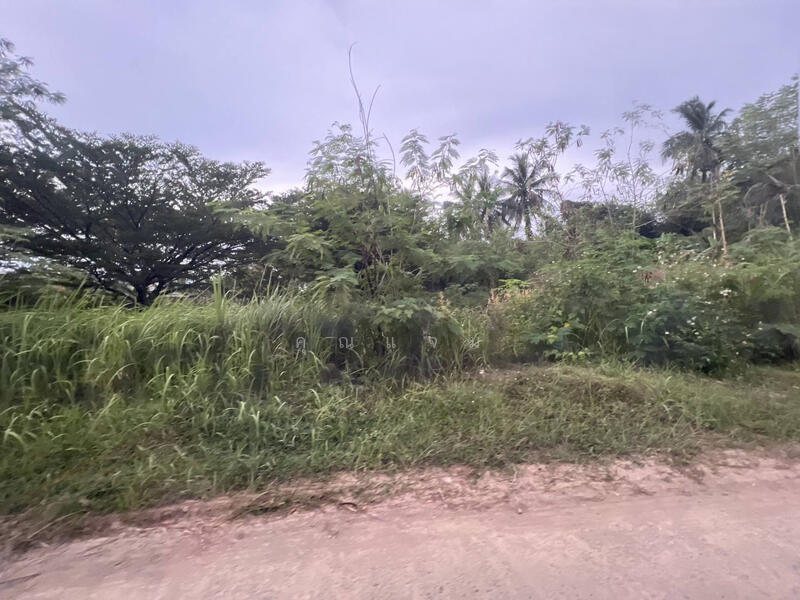 ที่ดินว่างเปล่าพังงา, Phangnga, Khuekkhak, Takua Pa, Phangnga, , 1,600 sqm, Land For Sale, by คุณแจม, 500144932 - DDproperty.com