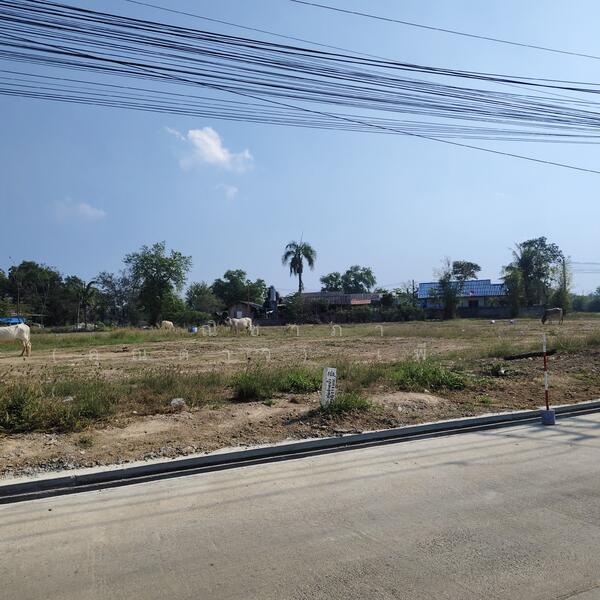 ห้วยใหญ่ - พัทยา ตำบลห้วยใหญ่ อำเภอบางละมุง จังหวัดชลบุรี, Chon Buri (Pattaya), Huai Yai, Bang Lamung (Pattaya), Chon Buri (Pattaya), , 1,860 sqm, Land For Sale, by Nichapa Phiachan, 500144949 - DDproperty.com