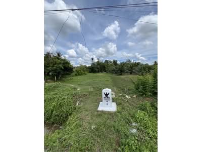 ขาย - ที่ดินว่างเปล่าสตูล, สตูล